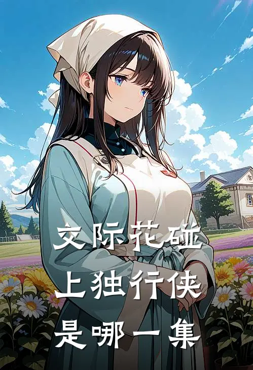 交际花碰上独行侠是哪一集